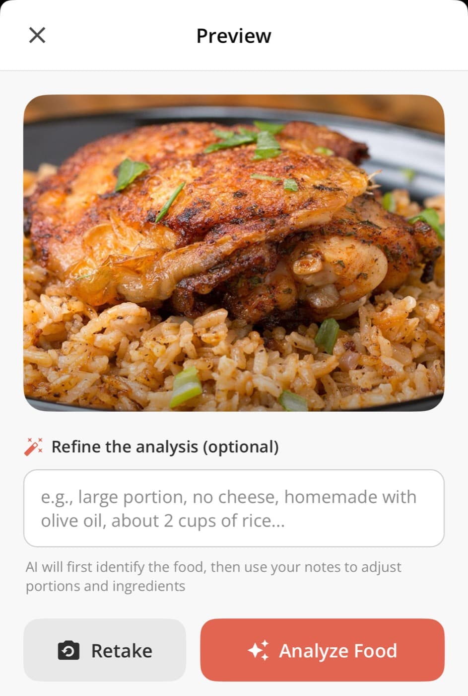 Vora analyzing a photo of chicken and rice